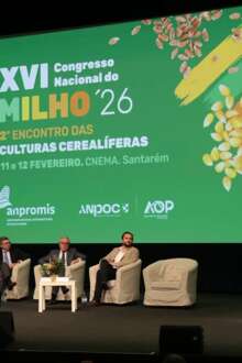 Congresso Nacional do Milho termina com apelo à execução política e defesa da produção nacional
